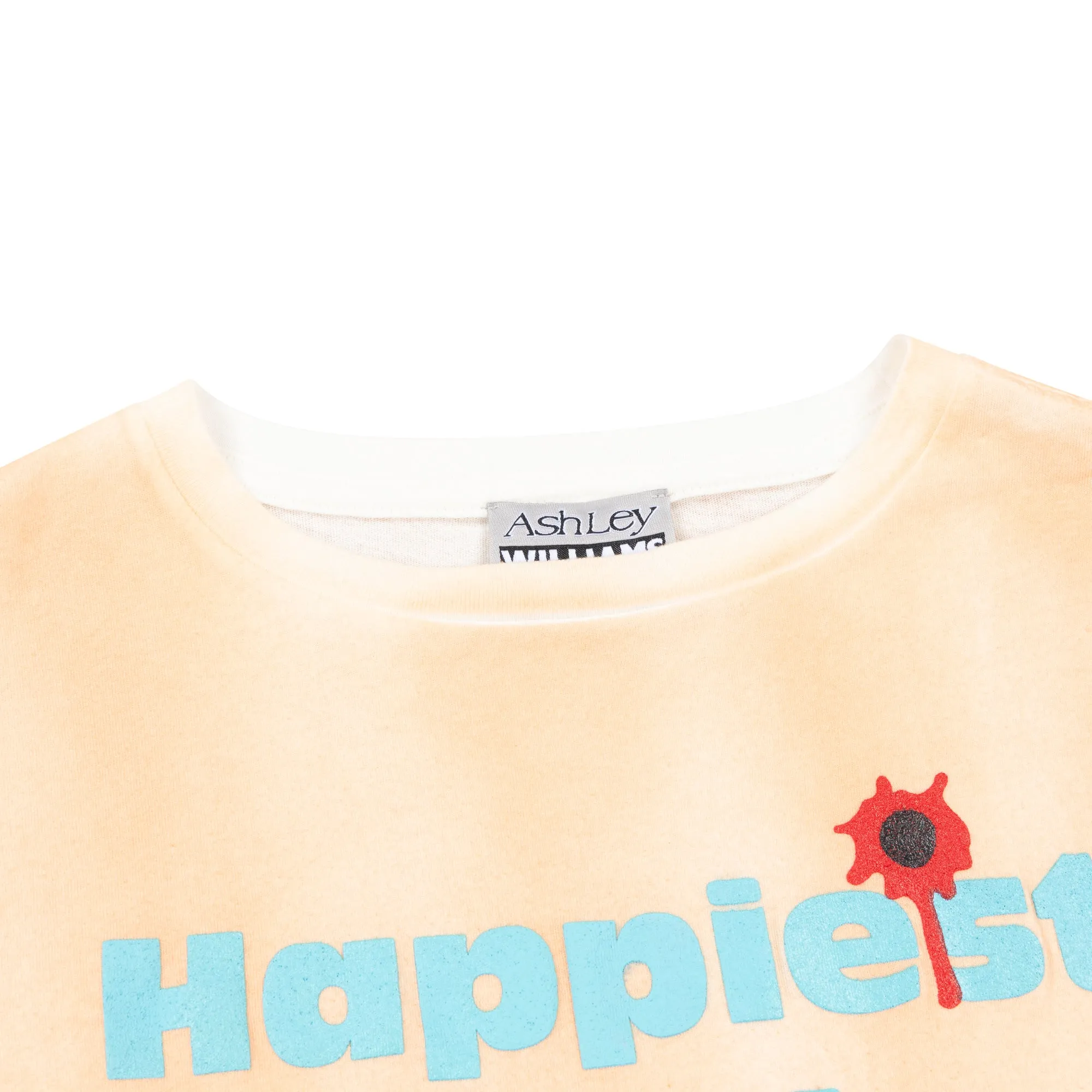 HAPPY CROPPED T-SHIRT - WASHED PEACH sold by Ashley Williams product image thumbnail 5