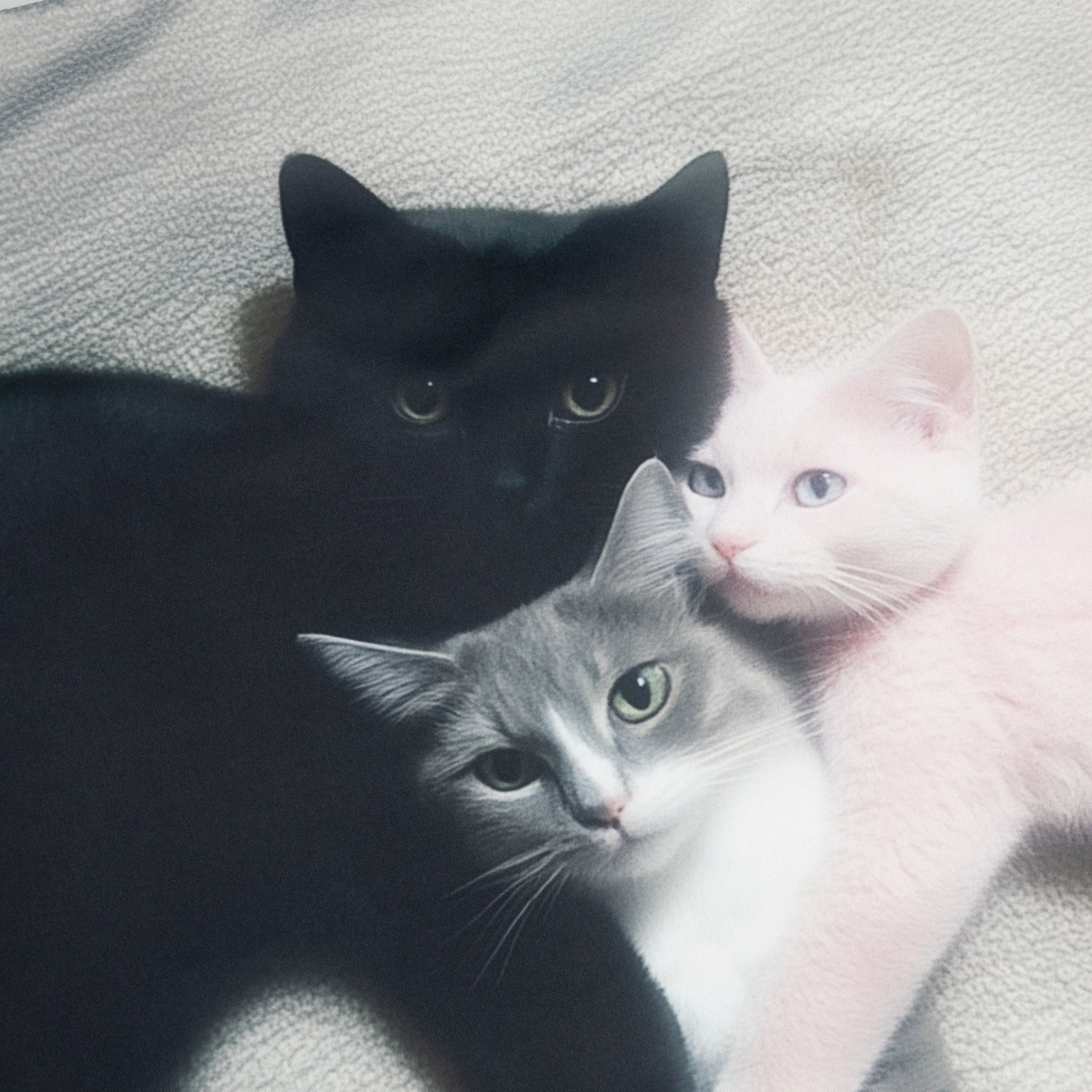 KITTEN TRIO MEDIUM SKIRT sold by Ashley Williams product image thumbnail 5