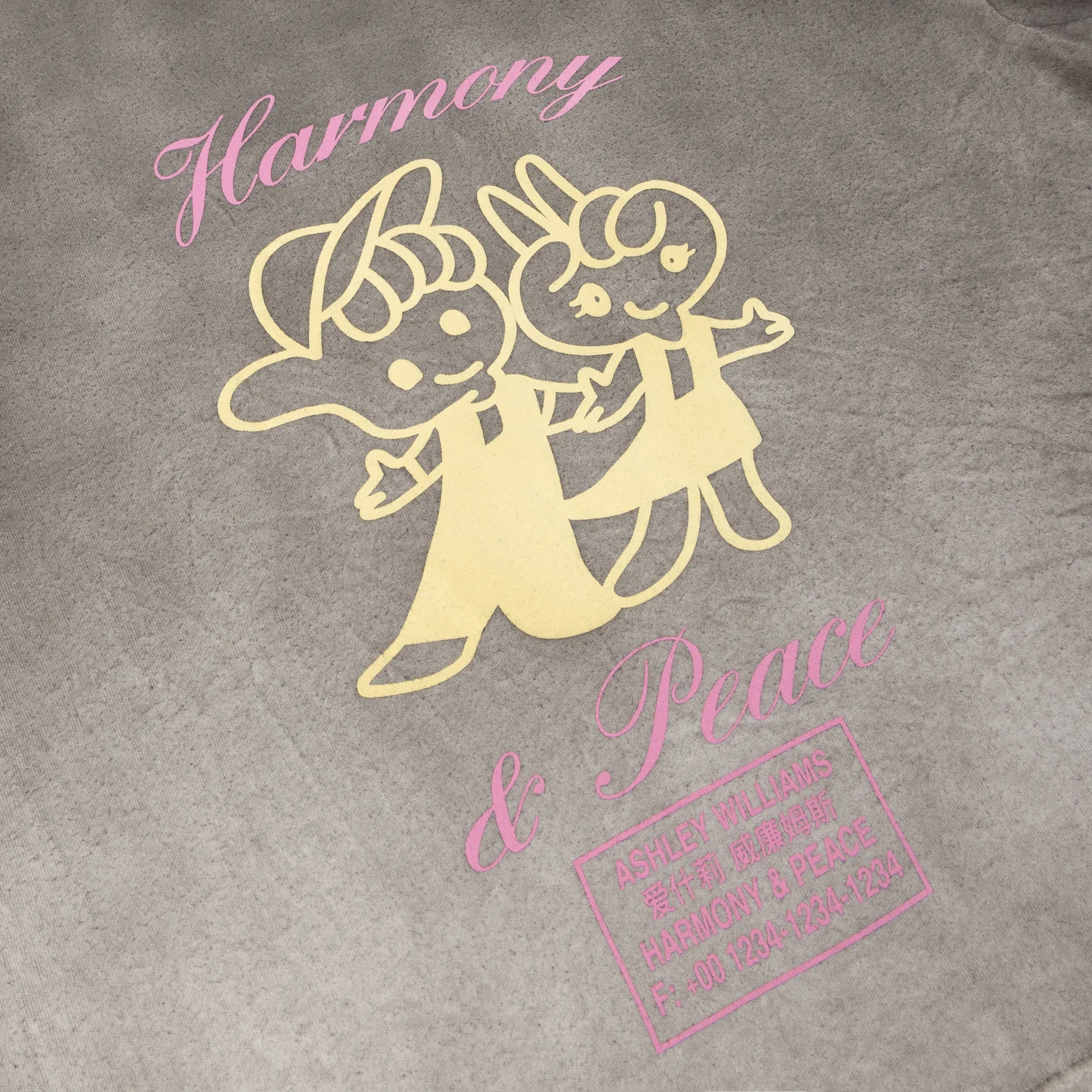 HARMONY & PEACE CROPPED T-SHIRT - WASHED GREY sold by Ashley Williams product image thumbnail 4