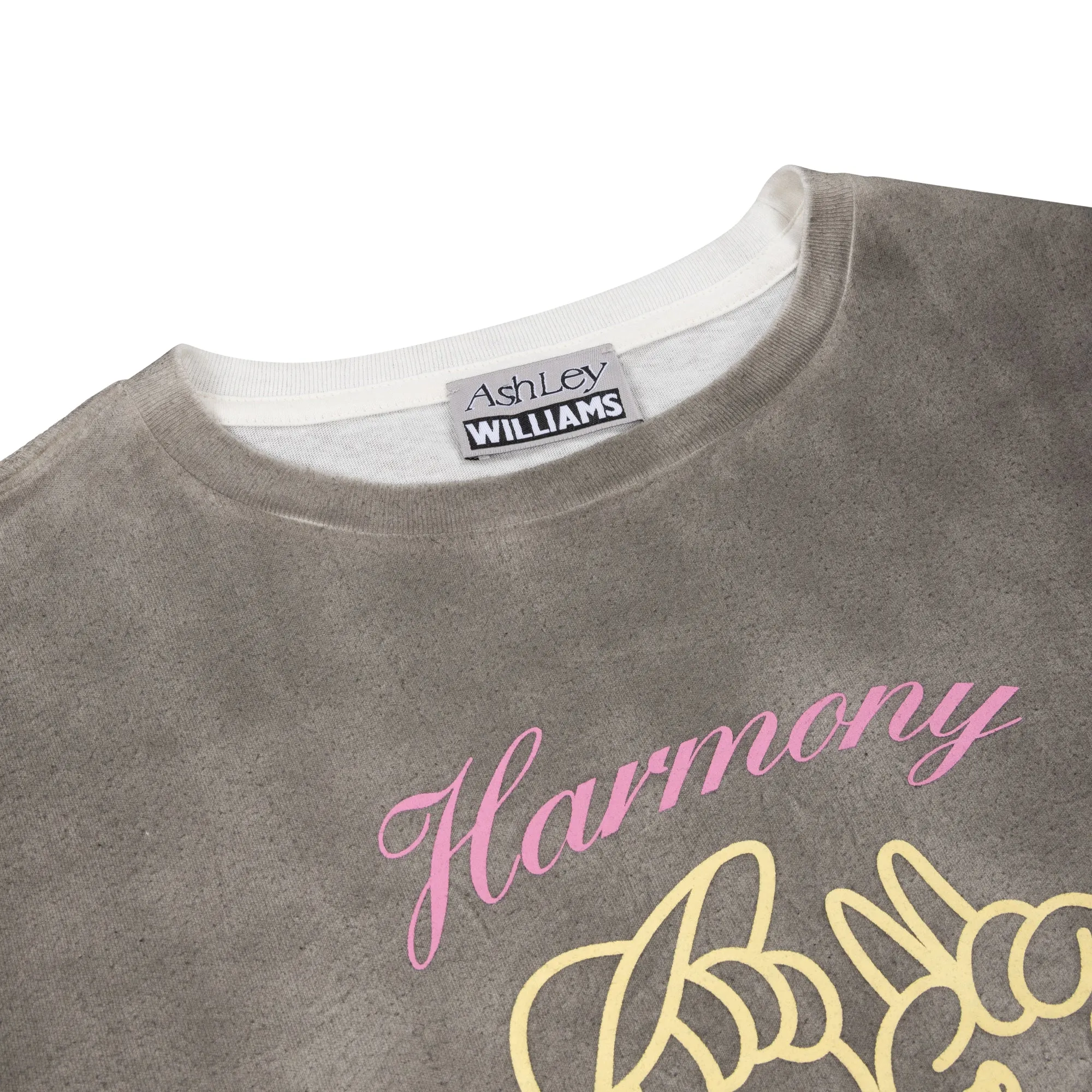 HARMONY & PEACE CROPPED T-SHIRT - WASHED GREY sold by Ashley Williams product image thumbnail 3
