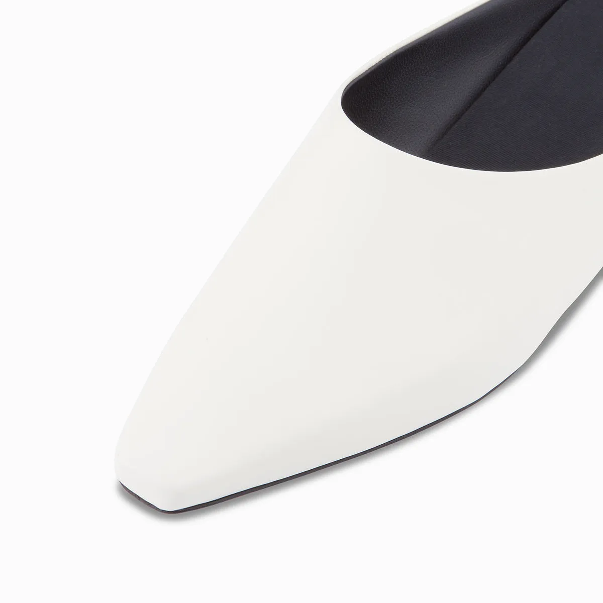 ALBA sold by NEOUS product image thumbnail 4