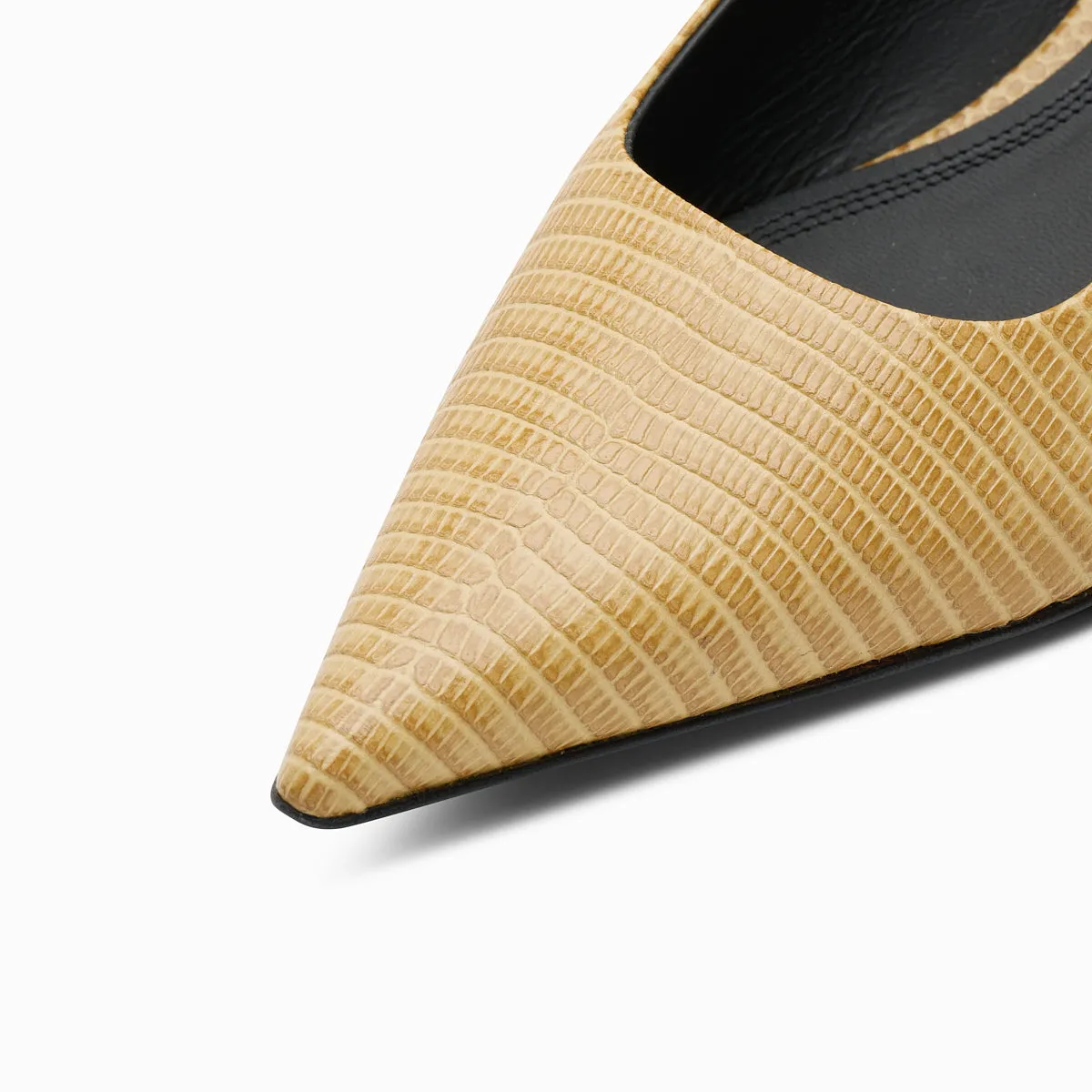 TAIKA sold by NEOUS product image thumbnail 3