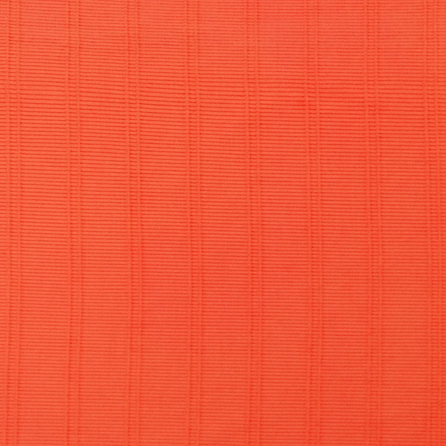 Bikini Bottom - CITRUS sold by Eidon product image thumbnail 5