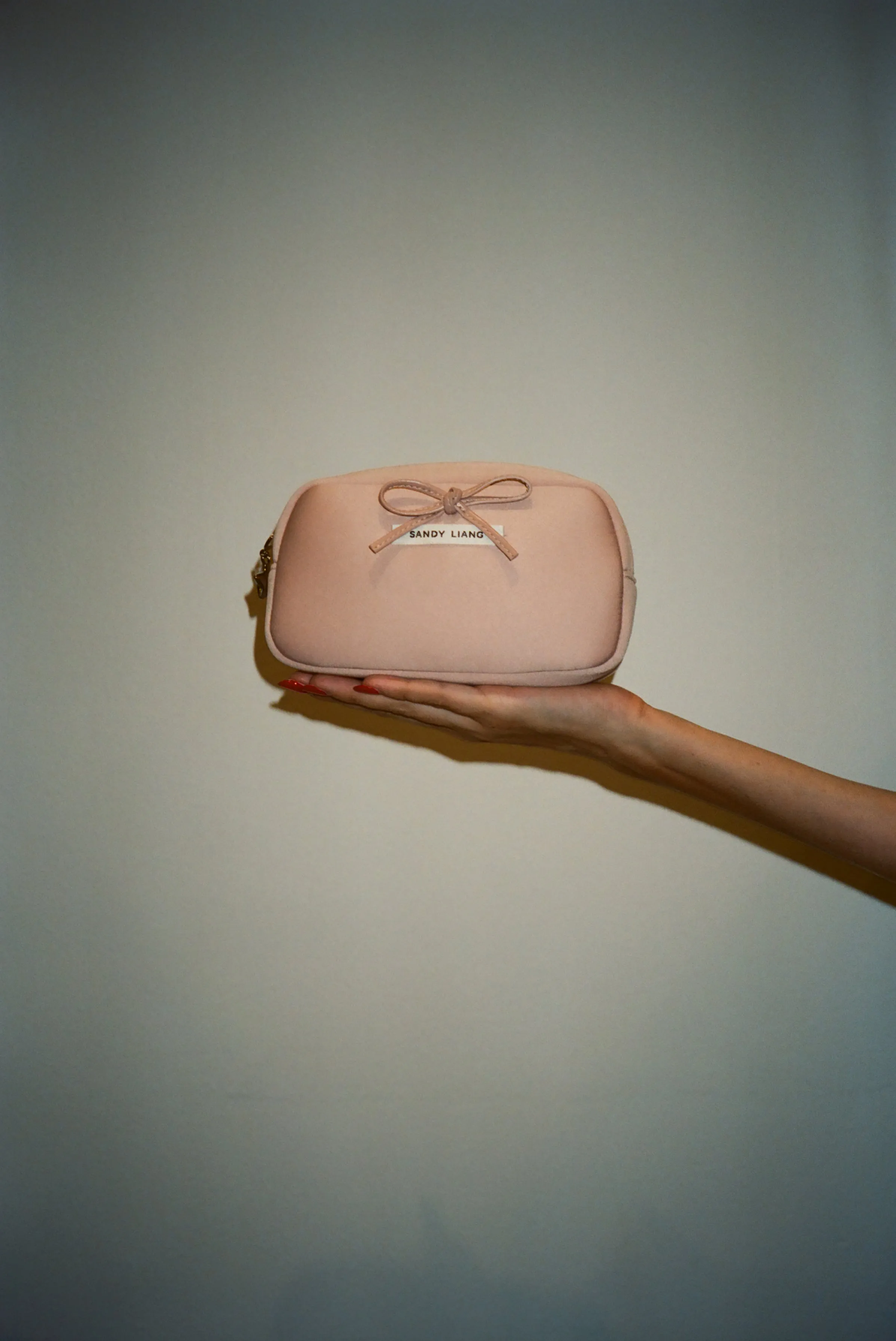 SMOL POUCH IN BALLET sold by Sandy Liang product image thumbnail 2