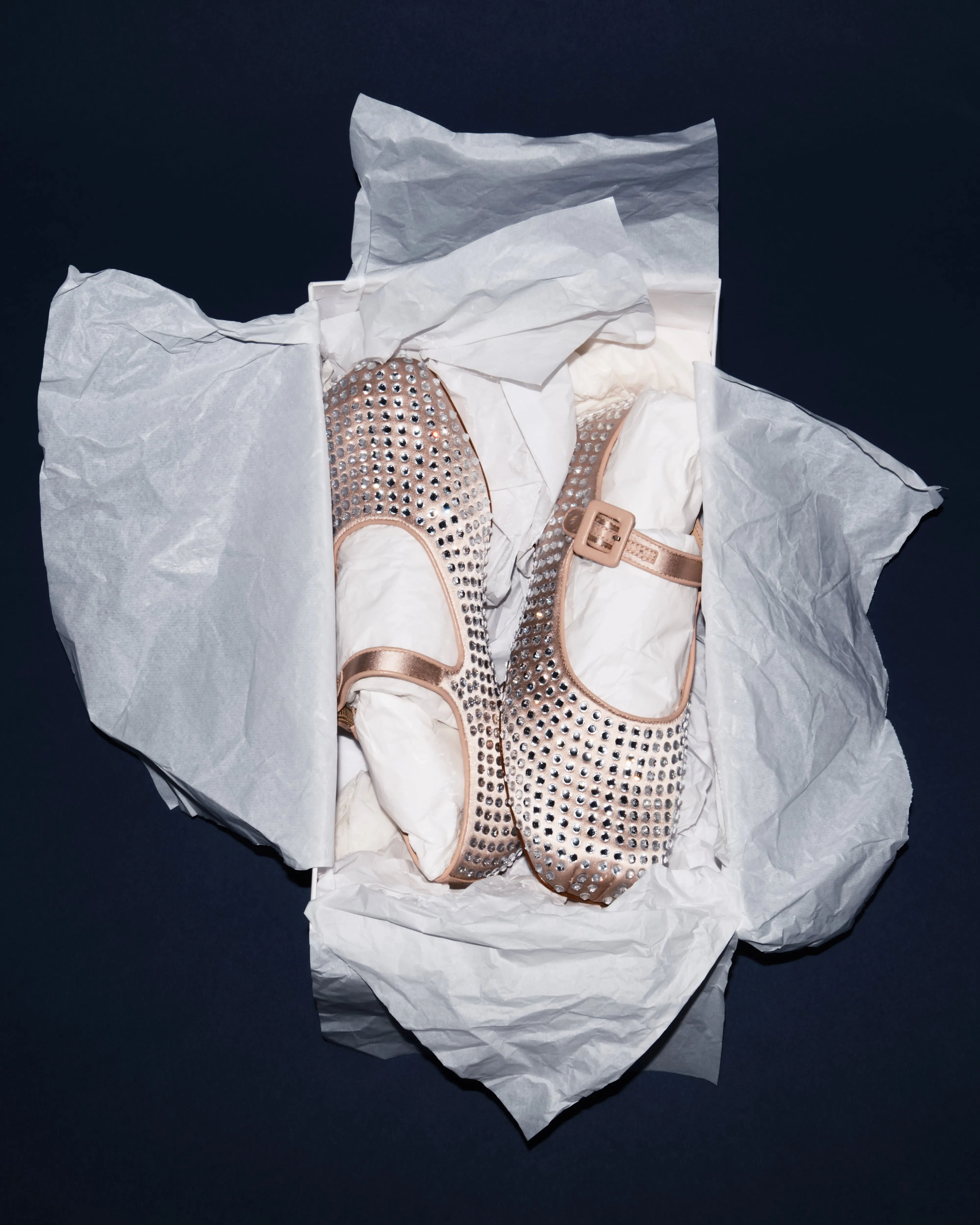 MARY JANE POINTE IN BALLET RHINESTONES sold by Sandy Liang product image thumbnail 5