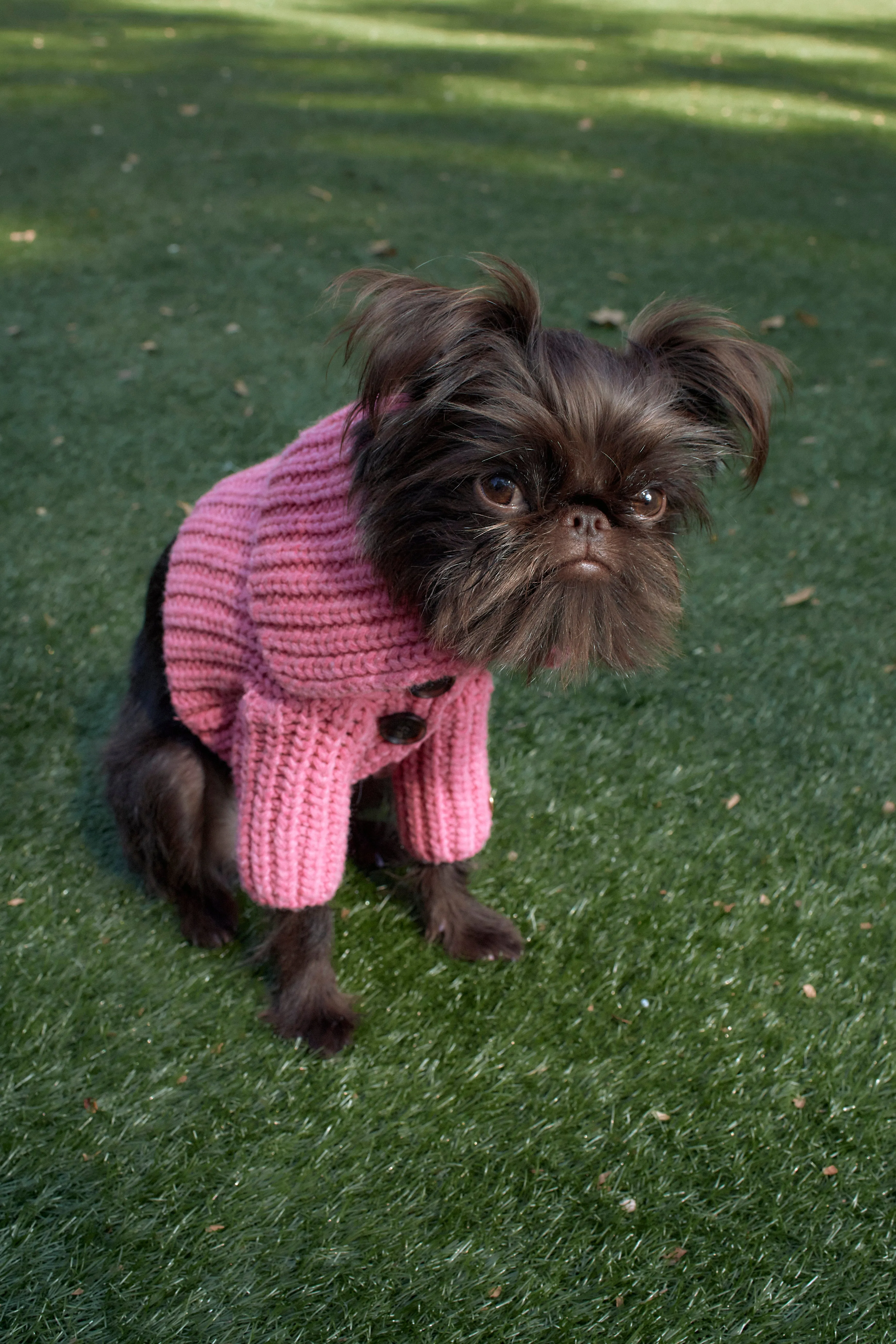 LIL PET MULLED CARDIGAN IN CARNATION sold by Sandy Liang product image thumbnail 3