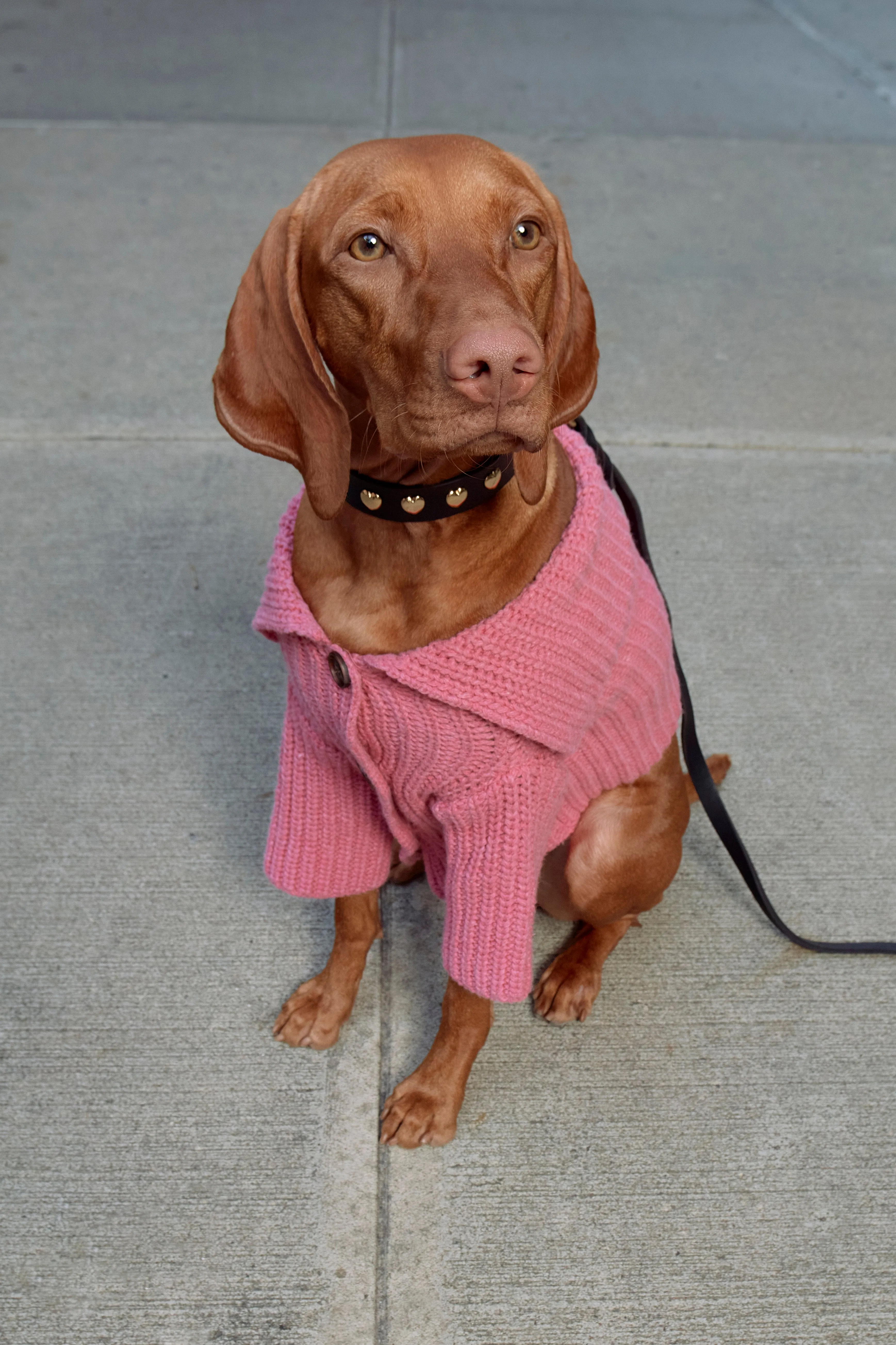LIL PET MULLED CARDIGAN IN CARNATION sold by Sandy Liang product image thumbnail 2