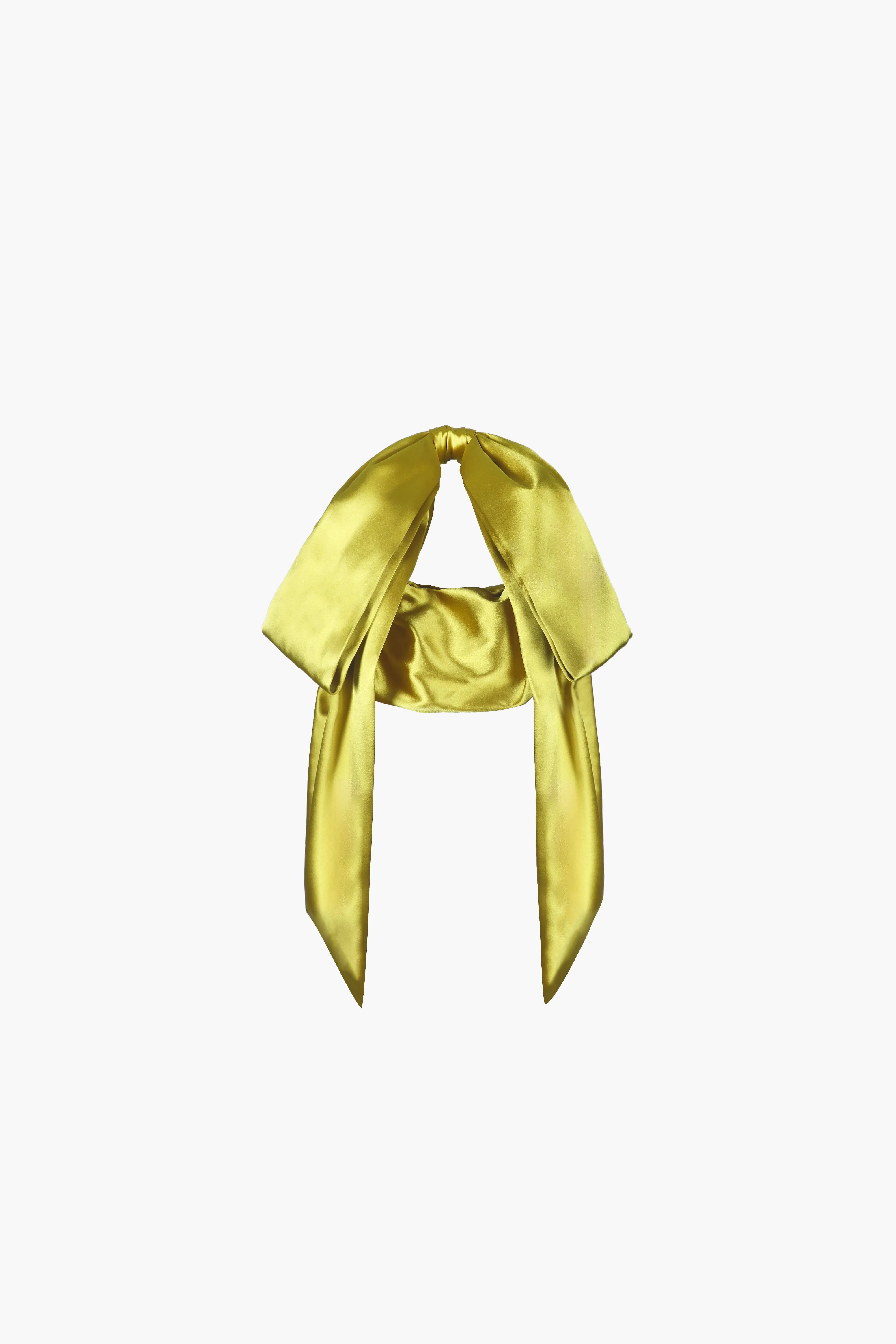 SMALL REGALO BAG IN CHARTRUESE sold by Sandy Liang