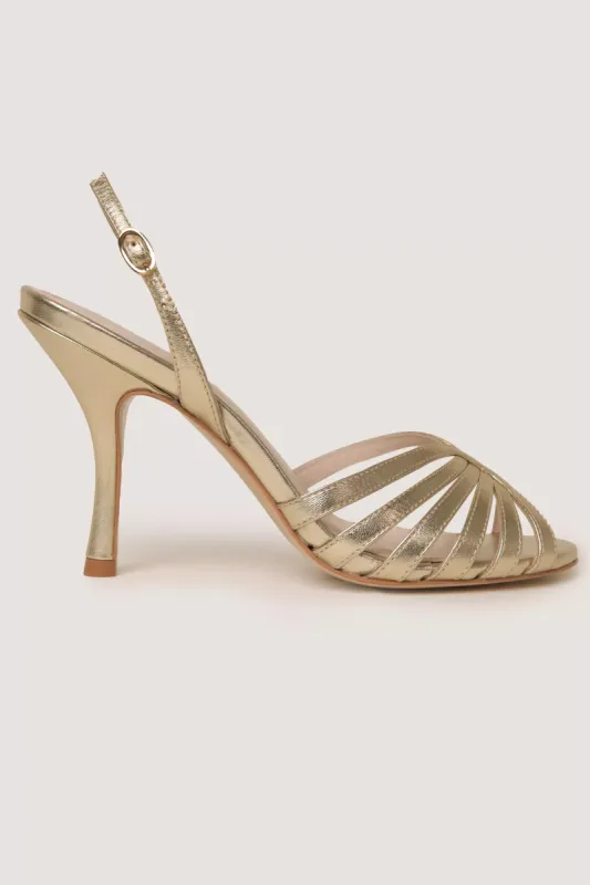 Mavi - Gold made by RIXO