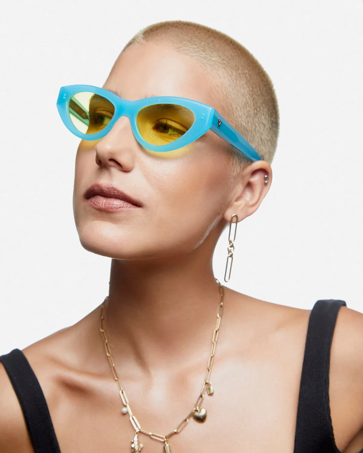 CATFISH FEVER sold by VADA product image thumbnail 5