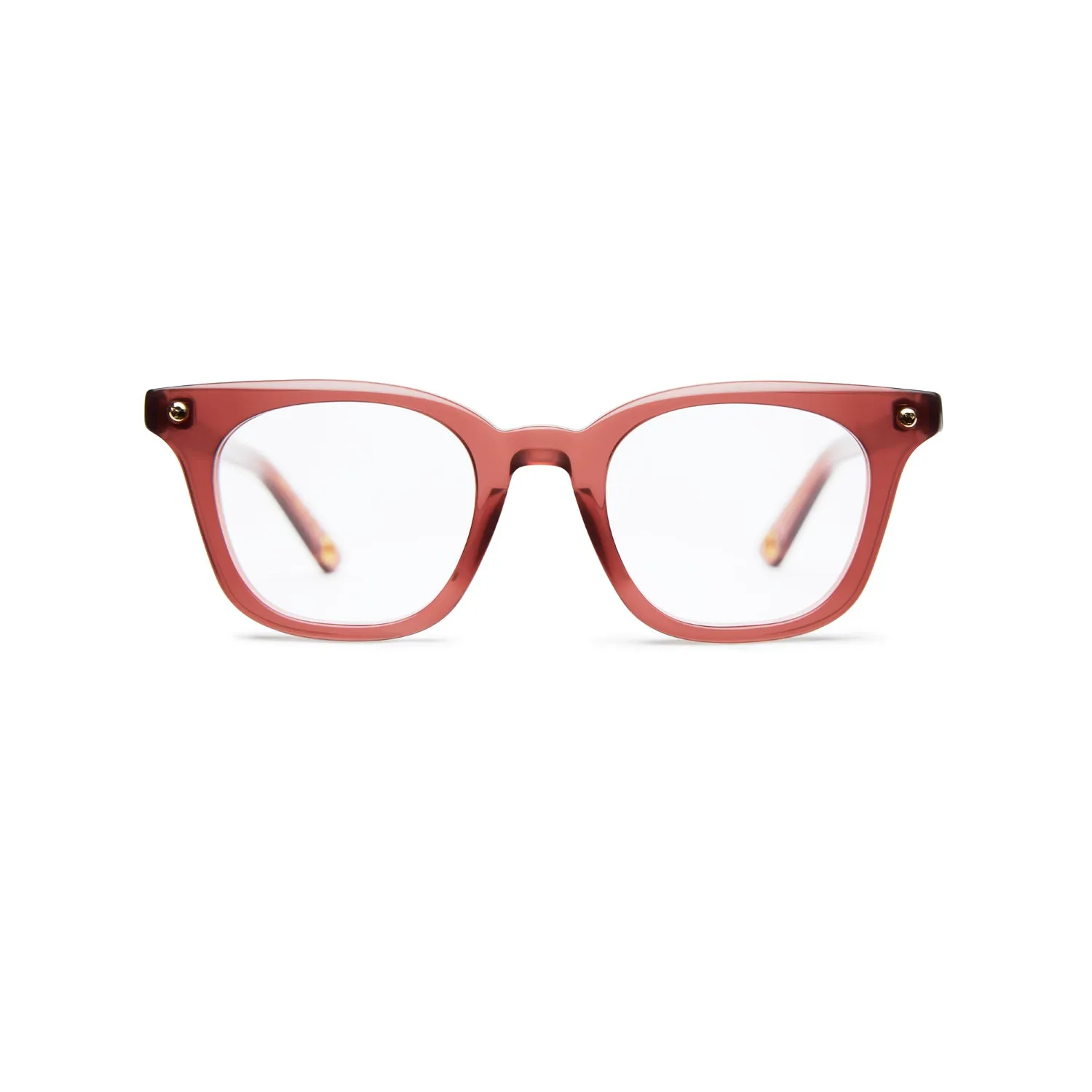 TRANCE STONEFRUIT sold by VADA