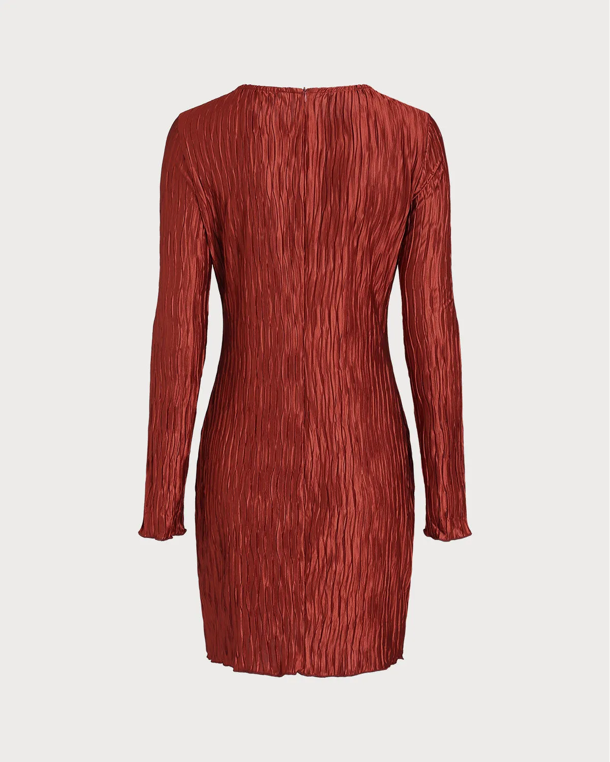 Brick Red Textured Mini Dress sold by rihoas product image thumbnail 2