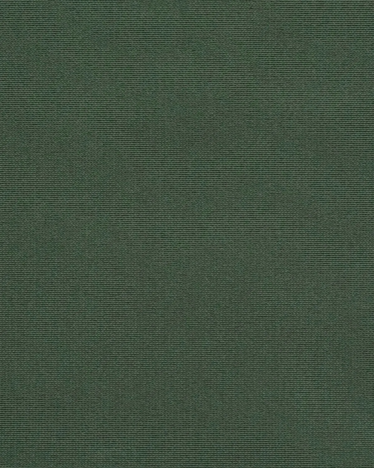 Green U Neck Tummy Control One-Piece sold by rihoas product image thumbnail 4