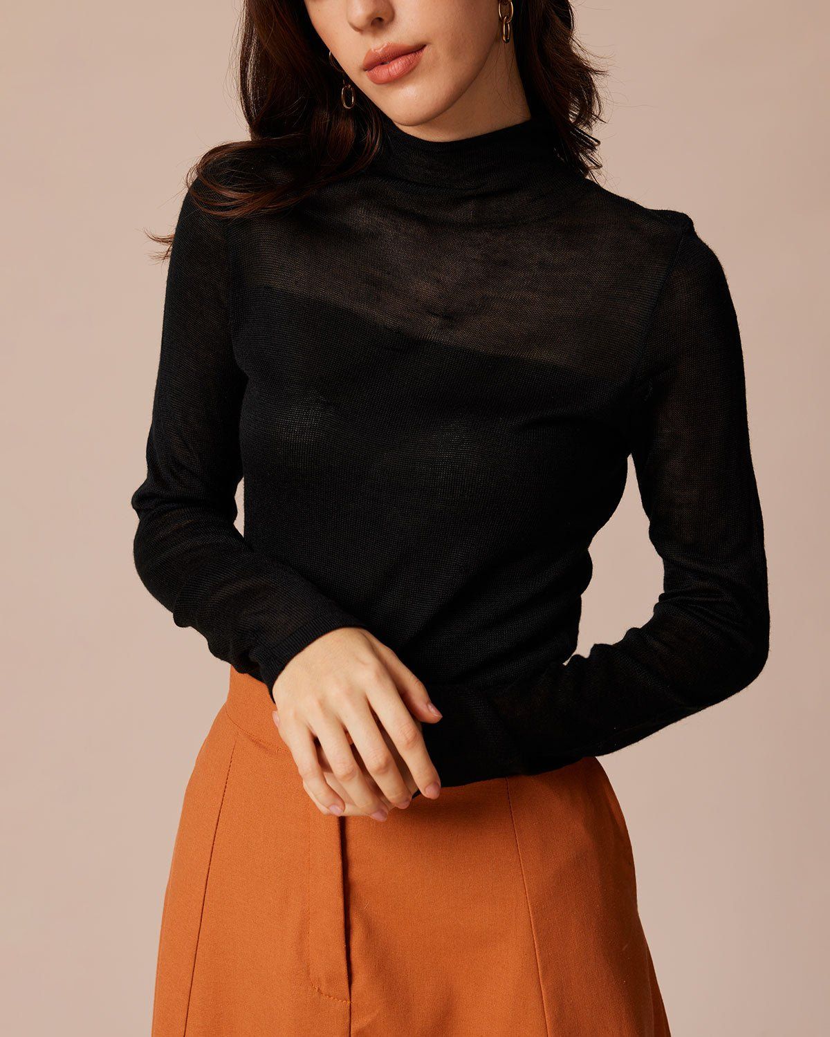 The Black High Neck Sheer Pointelle Knit Top sold by rihoas