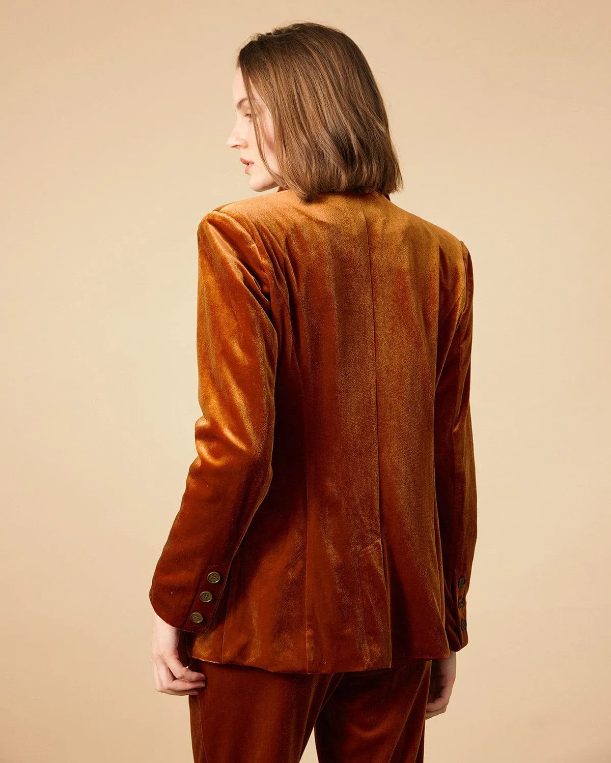 The Collared Double-breasted Velvet Blazer sold by rihoas product image thumbnail 5