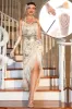 Sequin Fringed Champagne 1920s Gatsby Dress with Accessories Set sold by Zapaka