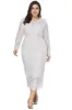 Plus Size Long Sleeves Wedding Guest Dress sold by Zapaka