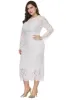 Plus Size Long Sleeves Wedding Guest Dress sold by Zapaka