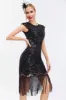 Black Sequins 1920s Gatsby Dress with Fringes sold by Zapaka