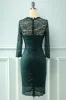 Lace Bodycon formal Dress sold by Zapaka