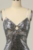 Sequined Silver Bodycon Party Dress sold by Zapaka