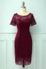 Burgundy Bodycon Dress sold by Zapaka
