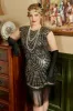 Golden Sequins 1920s Plus Size Dress with Fringes sold by Zapaka
