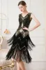 Fringes Sequin 1920s Dress sold by Zapaka