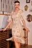Sparkly Champagne Sequins Fringed 1920s Dress with Accessories Set sold by Zapaka