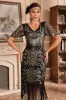 Black Champange V Neck Fringe 1920s Gatsby Dress With Sequins sold by Zapaka