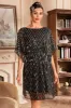 Glitter Sequins 1920s Dress with Batwing Sleeves sold by Zapaka