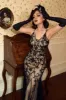 Sequins V-neck Long 1920s Dress sold by Zapaka