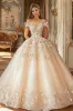 Champagne Ball Gown Off The Shoulder Appliqued Tulle Quinceanera Dress sold by Zapaka