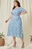 Sky Blue Lace Plus Size Tea-Length Mother of the Bride Dress sold by Zapaka