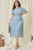 Sky Blue Lace Plus Size Tea-Length Mother of the Bride Dress sold by Zapaka