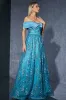 Blue Tulle Off the Shoulder Mother of the Bride Dress with Appliques sold by Zapaka