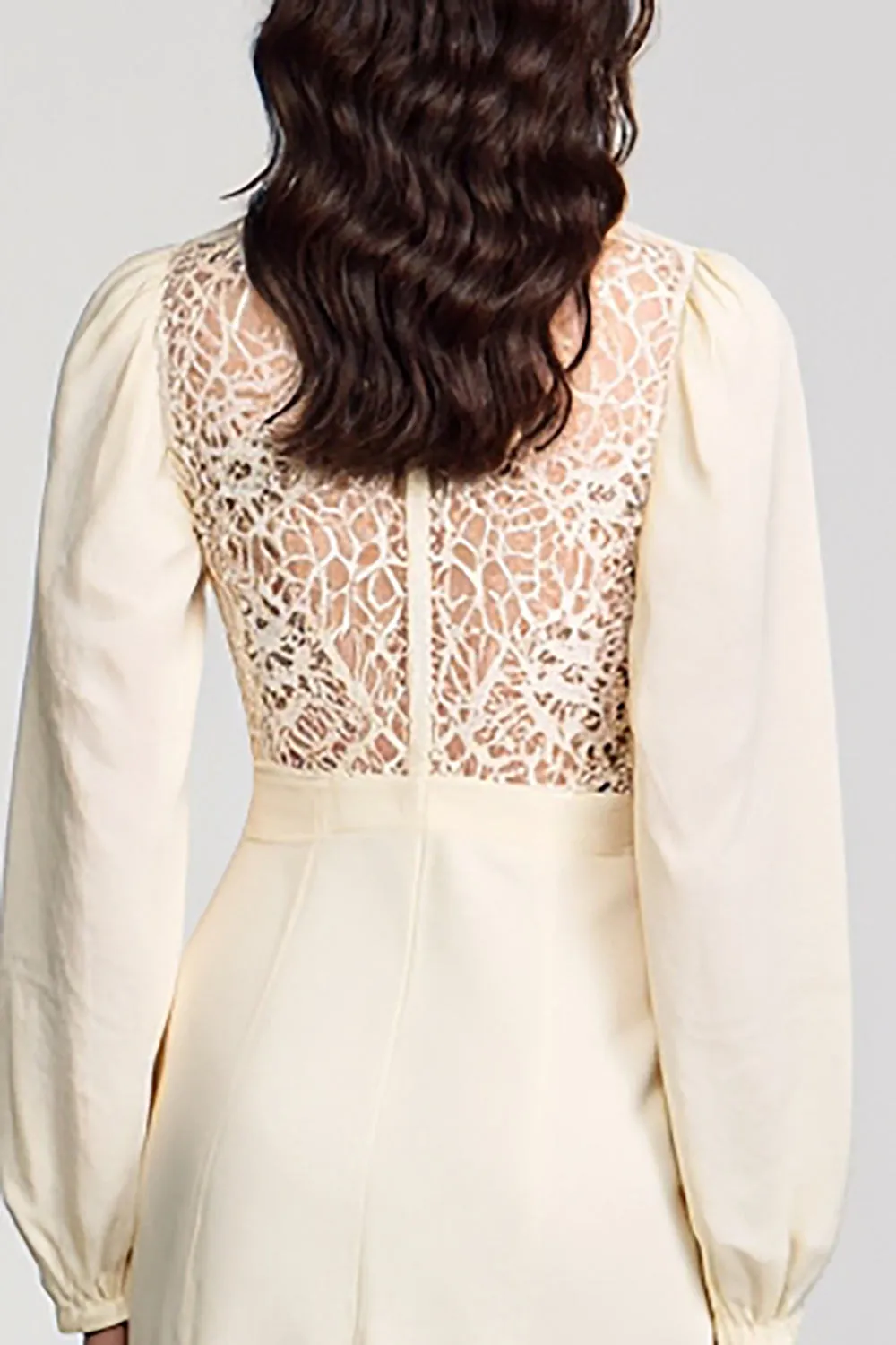 Long Sleeves High Neck Ivory Lace Wedding Guest Dress sold by Zapaka product image thumbnail 4