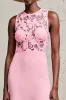 Pink Round Neck Sheath Wedding Guest Dress with Lace sold by Zapaka