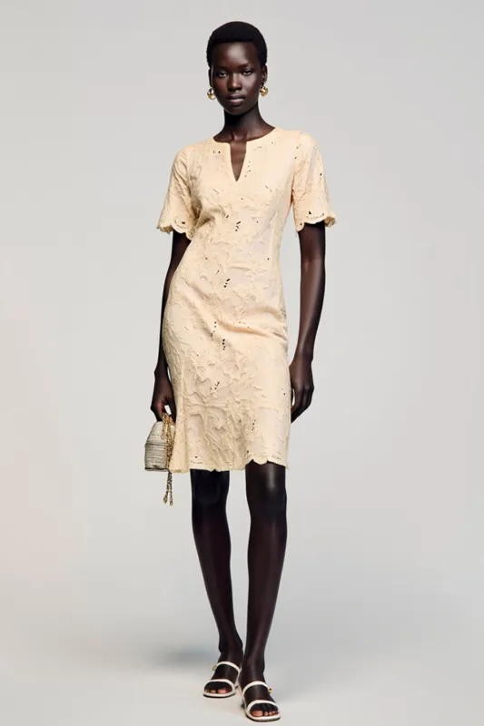 Lace Sheath Apricot Wedding Guest Dress sold by Zapaka