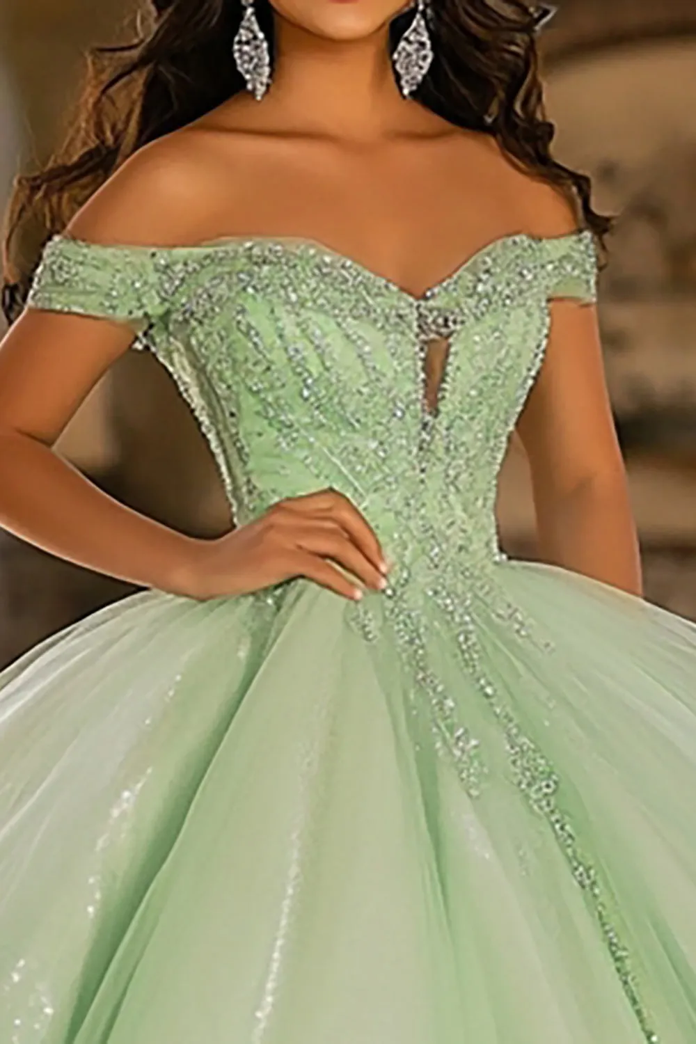 Glitter Light Tulle Green Ball Gown Long Quinceanera Dress with Appliques sold by Zapaka product image thumbnail 2