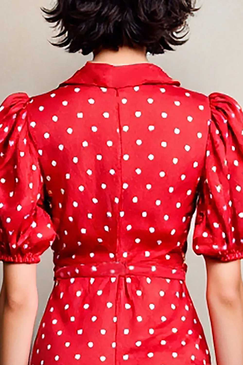 Red A Line Lapel Polka Dot Dress sold by Zapaka product image thumbnail 4