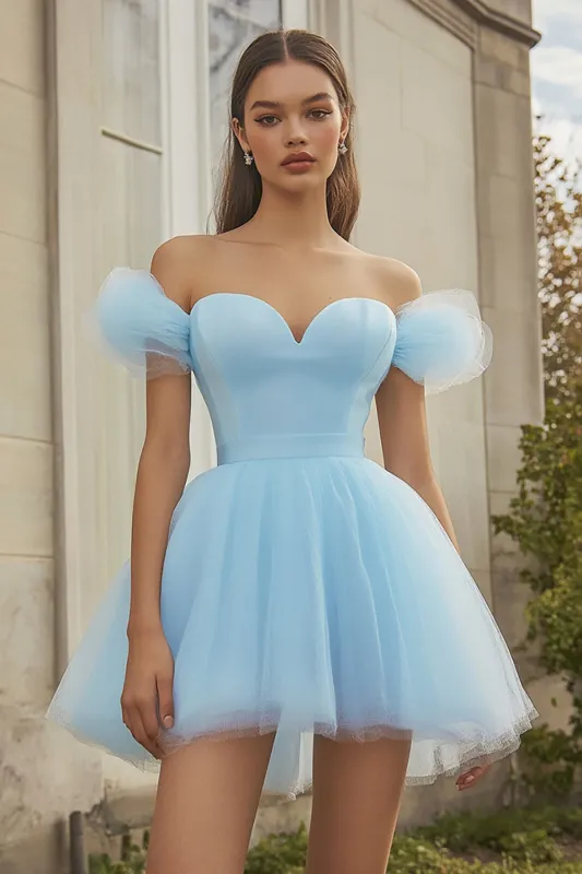 Sky Blue Tulle A Line Homecoming Dress sold by Zapaka
