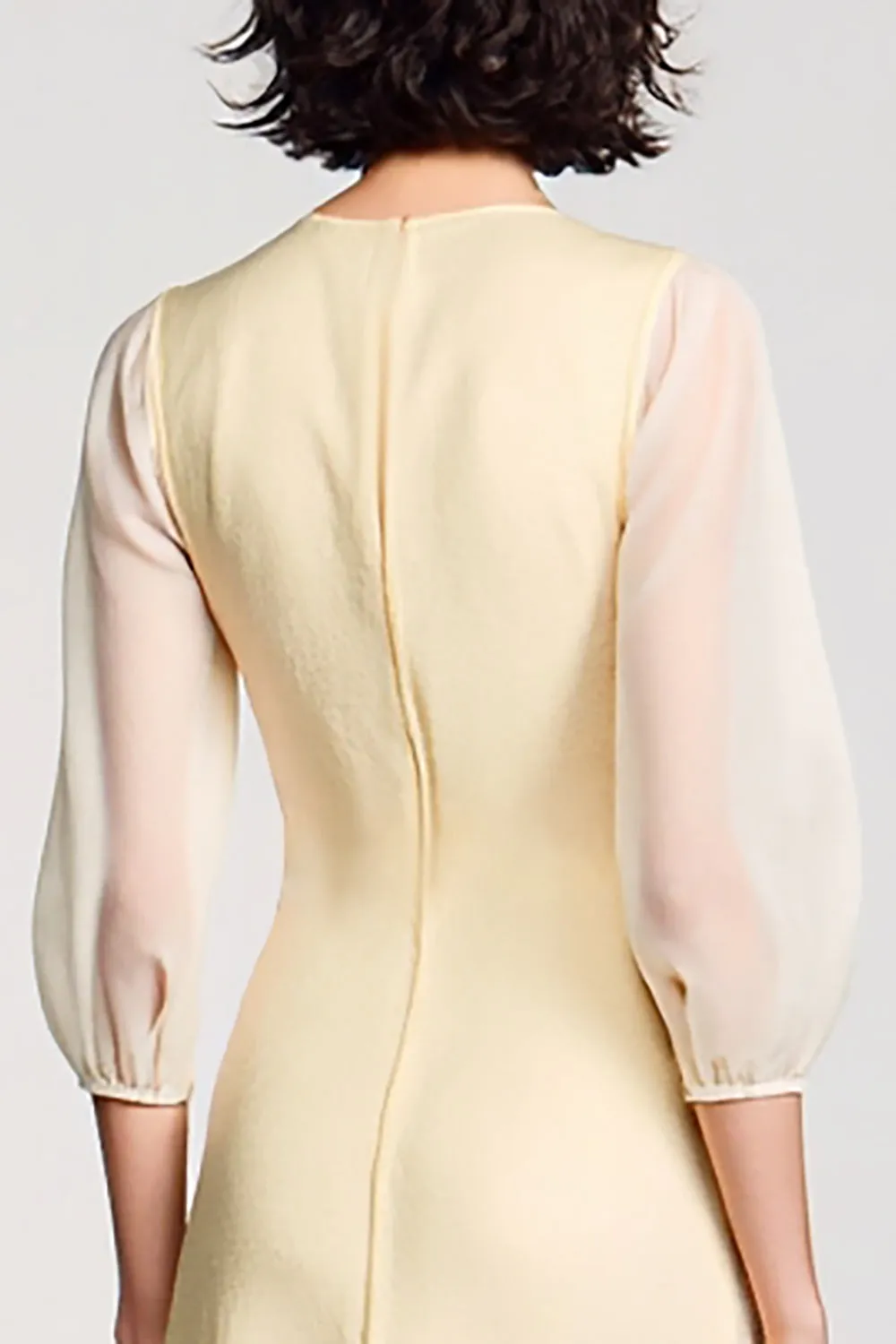 A Line Light Yellow V Neck Long Wedding Guest Dress sold by Zapaka product image thumbnail 4