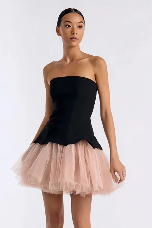 Strapless Black and Pink A-Line Little Black Dress sold by Zapaka