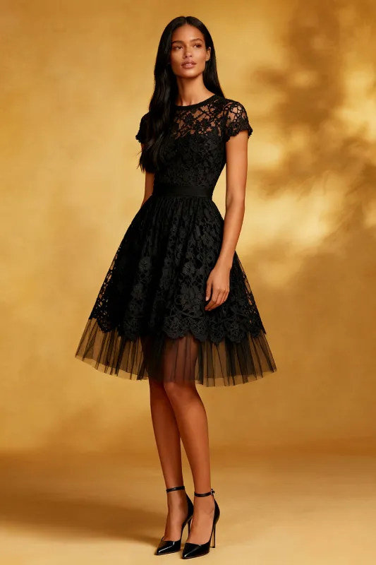 A Line Round Neck Open Back Lace Little Black Dress sold by Zapaka