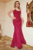 Hot Pink Sequin Mermaid Plus Size Evening Dress with Lac-up Back sold by Zapaka