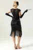 Sequins 1920s Fringe Dress sold by Zapaka
