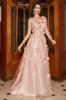 A-Line Spaghetti Straps Blush Long Prom Dress with Appliques sold by Zapaka