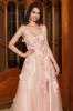 A-Line Spaghetti Straps Blush Long Prom Dress with Appliques sold by Zapaka