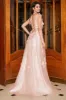 A-Line Spaghetti Straps Blush Long Prom Dress with Appliques sold by Zapaka